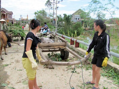 Ngỡ ngàng trước “binh đoàn xe bò” dọn bão - 5 Ngỡ ngàng trước “binh đoàn xe bò” dọn bão - 5