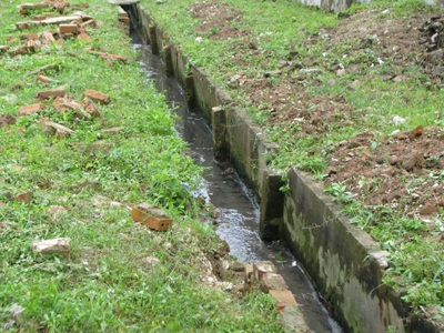 Dịch sốt xuất huyết bùng phát ở Nghệ An - 2 Dịch sốt xuất huyết bùng phát ở Nghệ An - 2