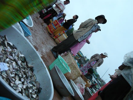 ĐBSCL: Người người ngóng… lũ - 1 ĐBSCL: Người người ngóng… lũ - 1