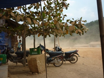 Kinh hoàng “Con đường bụi” - 3