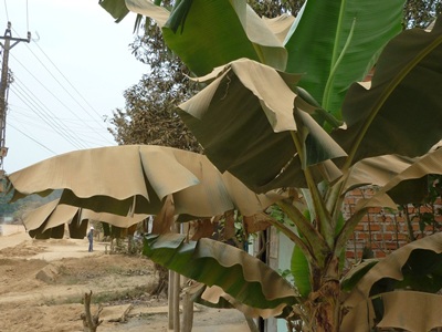 Kinh hoàng “Con đường bụi” - 5