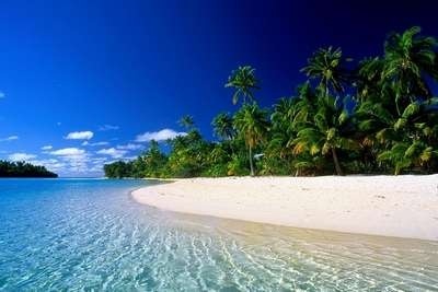 Tropical Wallpapers