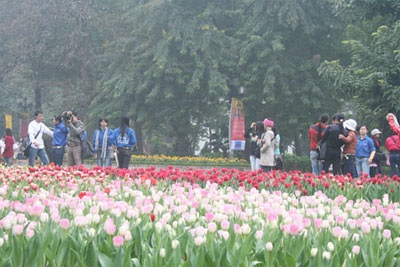 Sẽ có 5 “tuyến phố nở hoa” trong dịp Đại lễ - 2