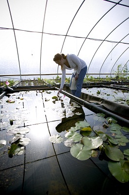 “Năng lực lãnh đạo và Phát triển bền vững”: Mở ra cơ hội việc làm hấp dẫn tại Việt Nam và Hoa Kỳ trong tương lai - 2