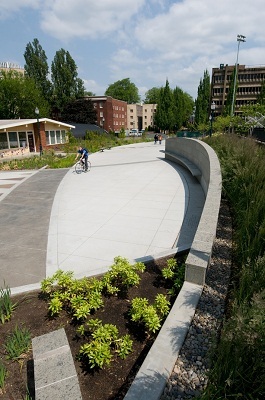 “Năng lực lãnh đạo và Phát triển bền vững”: Mở ra cơ hội việc làm hấp dẫn tại Việt Nam và Hoa Kỳ trong tương lai - 3