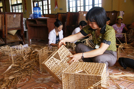 Thoát nghèo nhờ... bẹ chuối khô - 3