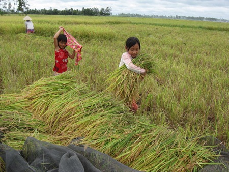 Nhọc nhằn mưu sinh ngày khai trường - 1 Nhọc nhằn mưu sinh ngày khai trường - 1