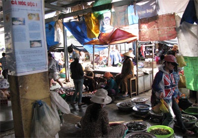 Đà Nẵng: Vẫn lén lút mua bán “cá tử thần” - 1