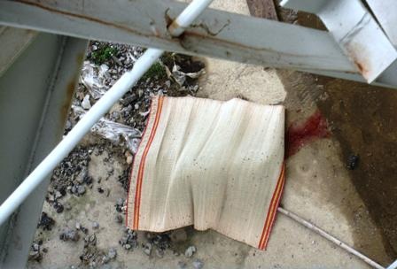 Xác định được danh tính nạn nhân trôi dưới chân cầu - 1