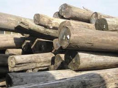 Bắt 1,3 m3 gỗ xẻ - 1 Bắt 1,3 m3 gỗ xẻ - 1