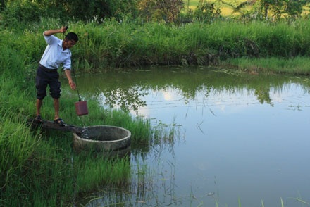 Trạm nước sạch bỏ hoang, dân ăn uống nước… mương - 1