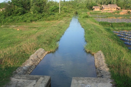 Trạm nước sạch bỏ hoang, dân ăn uống nước… mương - 3