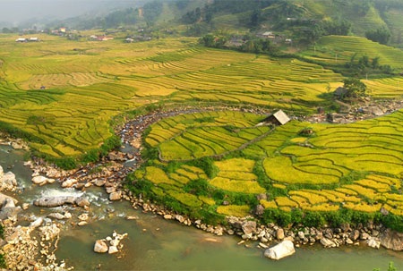 Quyến rũ ruộng bậc thang - 8 Quyến rũ ruộng bậc thang - 8
