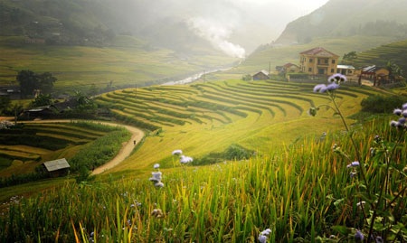 Quyến rũ ruộng bậc thang - 4 Quyến rũ ruộng bậc thang - 4