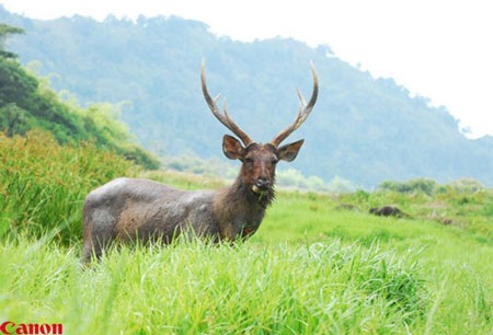 Trao giải cuộc thi Canon - Lăng kính xanh - 1 Trao giải cuộc thi Canon - Lăng kính xanh - 1