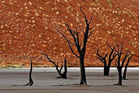 Ảnh du lịch đẹp nhất trong năm - 12 Ảnh du lịch đẹp nhất trong năm - 12