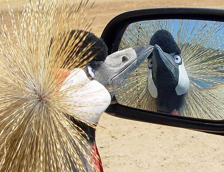 Ảnh du lịch đẹp nhất trong năm - 3 Ảnh du lịch đẹp nhất trong năm - 3