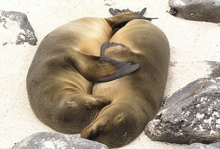 Ảnh du lịch đẹp nhất trong năm - 7 Ảnh du lịch đẹp nhất trong năm - 7