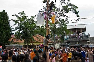 Lễ hội trèo cau bôi mỡ kỳ quặc ở Indonesia - 1 Lễ hội trèo cau bôi mỡ kỳ quặc ở Indonesia - 1