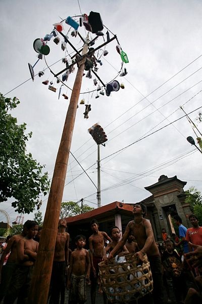 Lễ hội trèo cau bôi mỡ kỳ quặc ở Indonesia - 13 Lễ hội trèo cau bôi mỡ kỳ quặc ở Indonesia - 13
