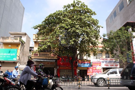 Trả lại Hà Nội một không gian thoáng đãng hơn - 11