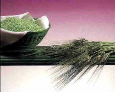 Yến mạch có thể cải thiện chức năng tình dục - 1 Yến mạch có thể cải thiện chức năng tình dục - 1