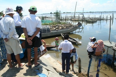 Hải cẩu “lưu lạc” vào vùng biển Thừa Thiên - Huế - 7