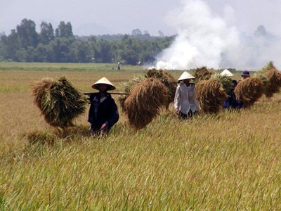 GDP bình quân năm 2010 ước khoảng 1.200 USD/người - 1 GDP bình quân năm 2010 ước khoảng 1.200 USD/người - 1