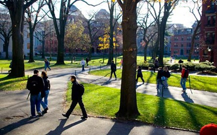 Harvard đứng đầu top 200 ĐH hàng đầu thế giới  - 1