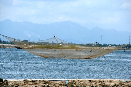 Ném vỡ kính xe Sở Nông nghiệp, không cho bắt hải cẩu - 1