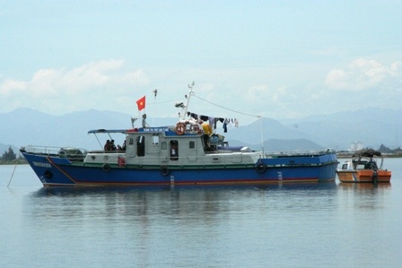 Chú hải cẩu được đưa về “nhà mới” - 2