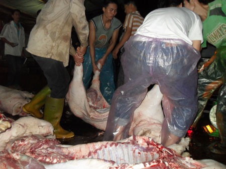 Nói mãi không nghe, Hà Nội quyết đóng cửa nhiều lò mổ - 2