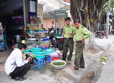 Xử phạt các trường hợp nuôi và kinh doanh rùa tai đỏ - 1 Xử phạt các trường hợp nuôi và kinh doanh rùa tai đỏ - 1