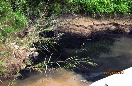 Bắt quả tang xưởng nhuộm vải “đầu độc” sông Đuống - 2 Bắt quả tang xưởng nhuộm vải “đầu độc” sông Đuống - 2