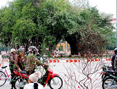 Biến di tích 400 tuổi thành... 1 ngày tuổi! - 3 Biến di tích 400 tuổi thành... 1 ngày tuổi! - 3