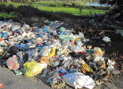 Cửa Lò ngập trong rác - 1