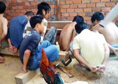 Nổ súng khống chế một sới gà quy mô lớn - 1