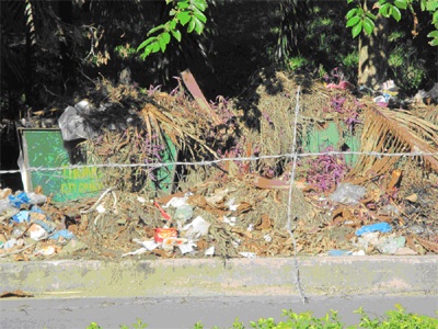 Cửa Lò ngập trong rác - 10