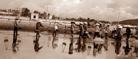 “Vũ điệu” trên cánh đồng muối - 2 “Vũ điệu” trên cánh đồng muối - 2