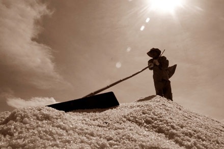 “Vũ điệu” trên cánh đồng muối - 9 “Vũ điệu” trên cánh đồng muối - 9