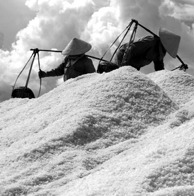 “Vũ điệu” trên cánh đồng muối - 10 “Vũ điệu” trên cánh đồng muối - 10