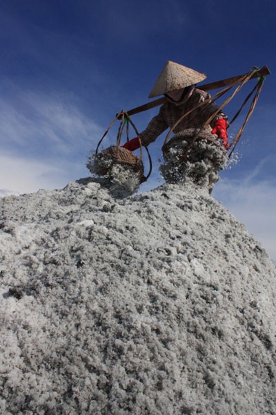 “Vũ điệu” trên cánh đồng muối - 12 “Vũ điệu” trên cánh đồng muối - 12