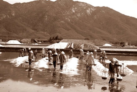 “Vũ điệu” trên cánh đồng muối - 1 “Vũ điệu” trên cánh đồng muối - 1