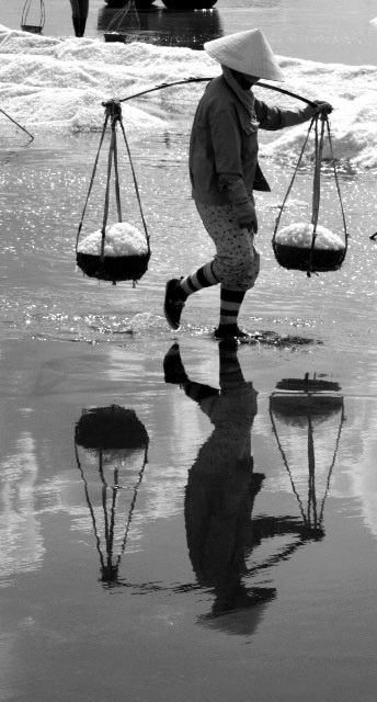 “Vũ điệu” trên cánh đồng muối - 3 “Vũ điệu” trên cánh đồng muối - 3