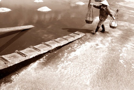 “Vũ điệu” trên cánh đồng muối - 4 “Vũ điệu” trên cánh đồng muối - 4