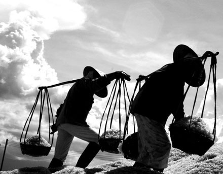 “Vũ điệu” trên cánh đồng muối - 6 “Vũ điệu” trên cánh đồng muối - 6