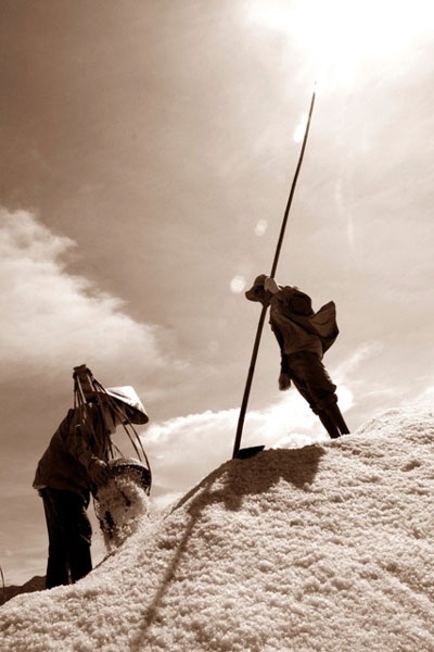 “Vũ điệu” trên cánh đồng muối - 7 “Vũ điệu” trên cánh đồng muối - 7