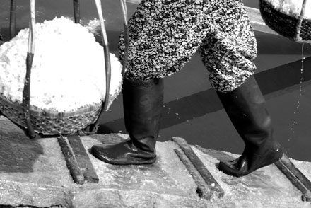 “Vũ điệu” trên cánh đồng muối - 8 “Vũ điệu” trên cánh đồng muối - 8