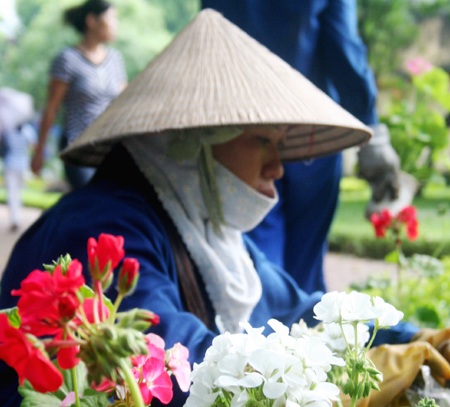 Hoa “thập diện mai phục” phố! - 7