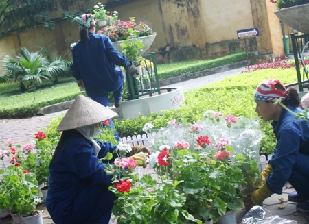 Hoa “thập diện mai phục” phố! - 1